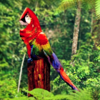 Parrot Body painting