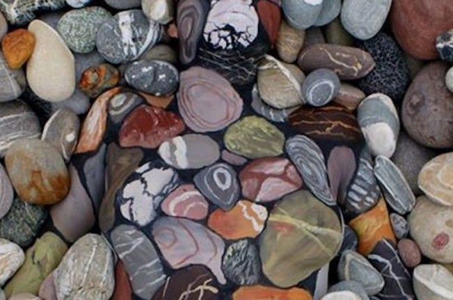 There’s Something Amazing Hiding in These Rocks. Can You See It?